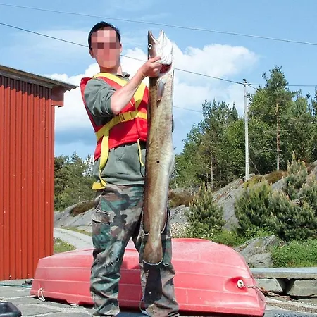 In Hatlestrand Ferienhaus *